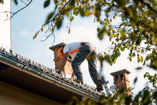Best Commercial Roof Installation  in Trenton, FL