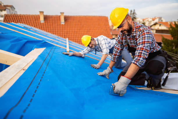 Best Flat Roof Repair Services  in Trenton, FL