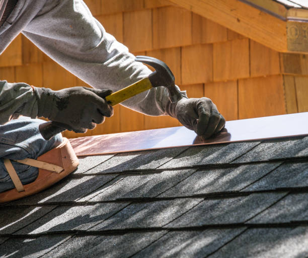 Best Shingle Roofing Installation  in Trenton, FL